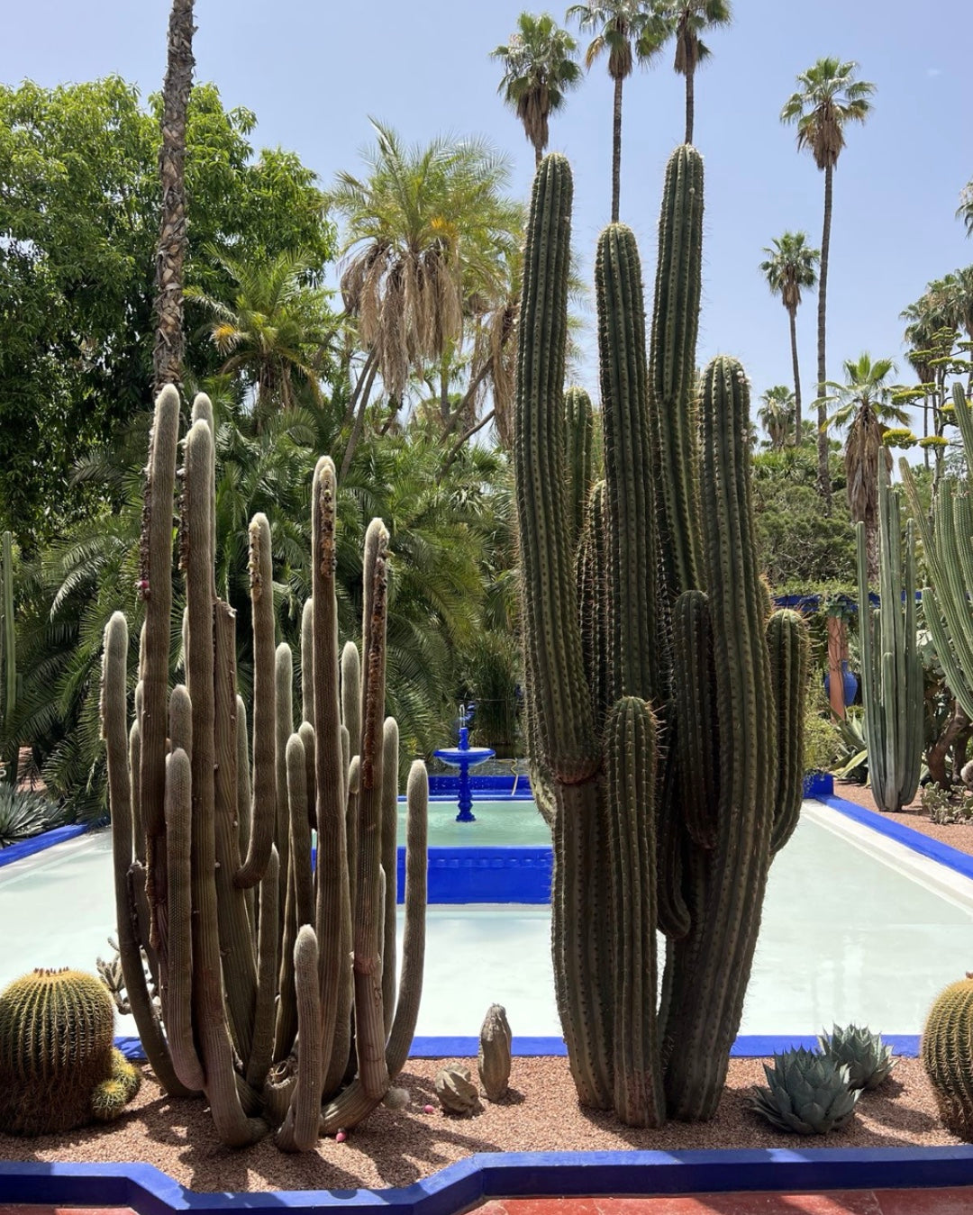 How do I bring everything I know into lived coherence?